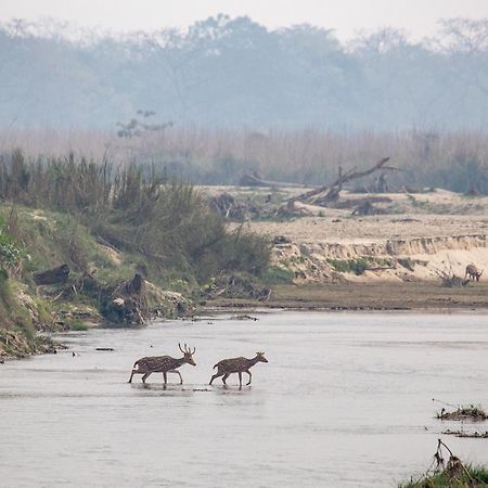 Sanctuary Chitwan National Park Zewnętrze zdjęcie