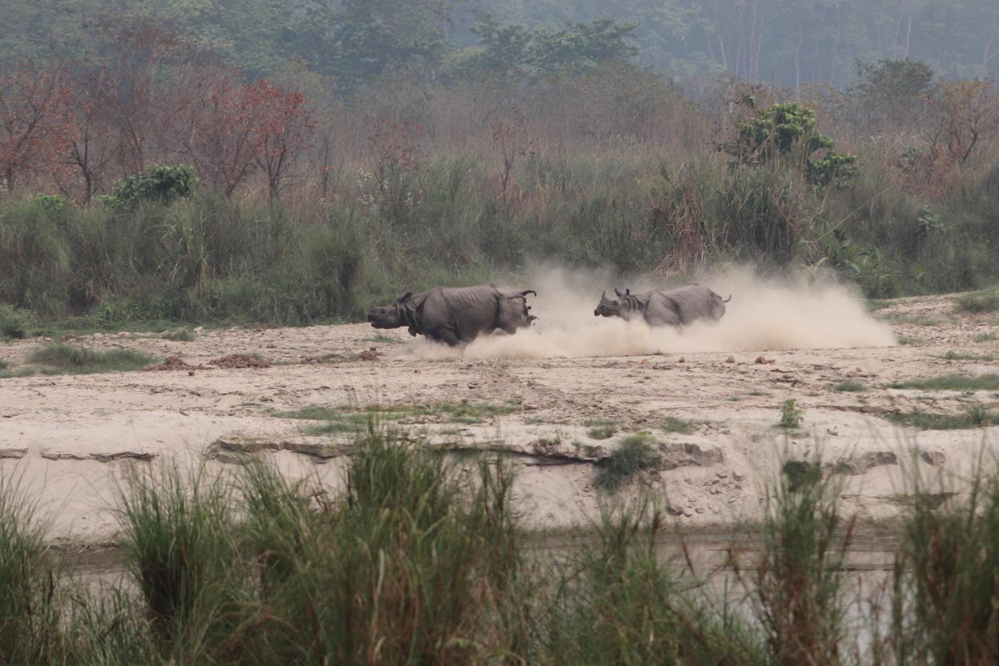 Sanctuary Chitwan National Park Zewnętrze zdjęcie