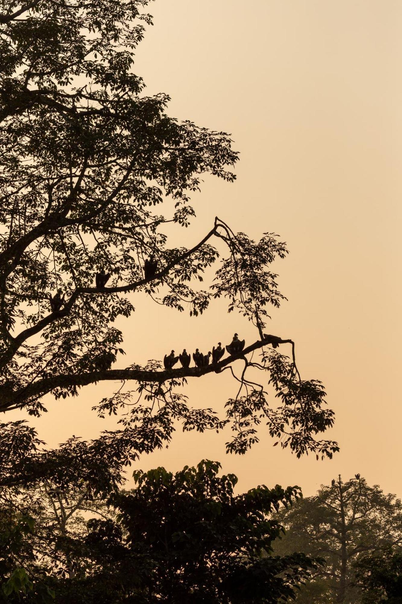 Sanctuary Chitwan National Park Zewnętrze zdjęcie